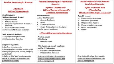 Hypertrophic Cardiomyopathy in Children: Pathophysiology, Diagnosis, and Treatment of Non-sarcomeric Causes